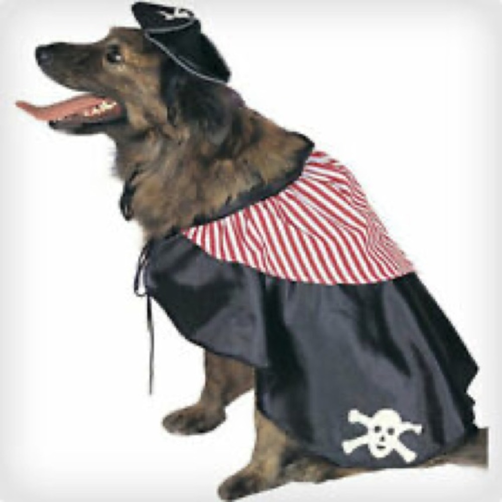 Pirate Pet Costume